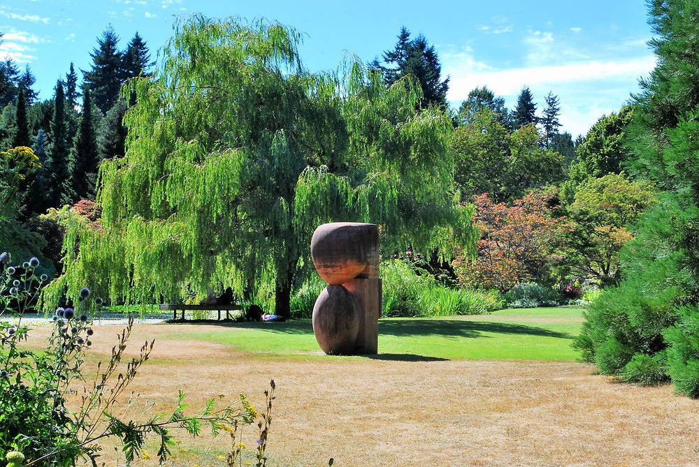 Oasis de verdure 