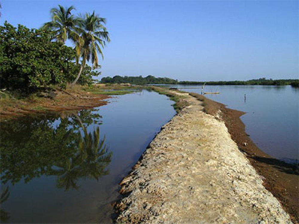 Chemin à édioungou