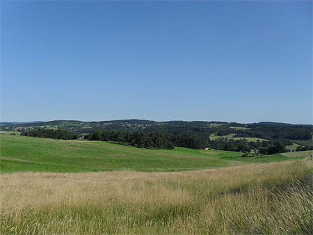 Paysage de Haute-Loire