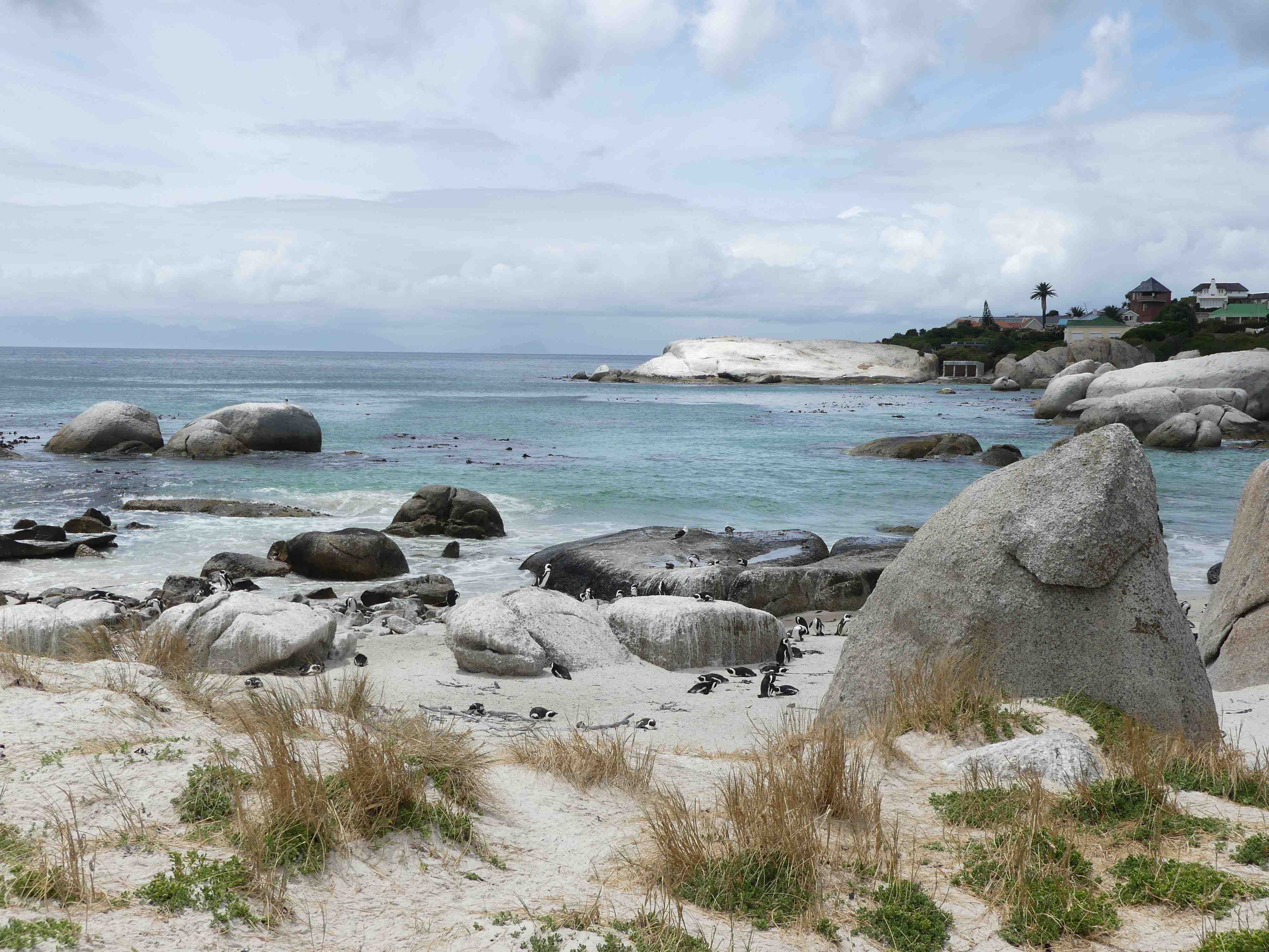 Boulder's Beach Plages Mer Boulders National Park Simon's Town