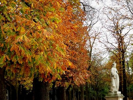 Jardin du Luxembourg l'automne 