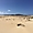 Fuerteventura, parc naturel des dunes de Corralejo