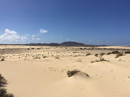 Fuerteventura, parc naturel des dunes de Corralejo