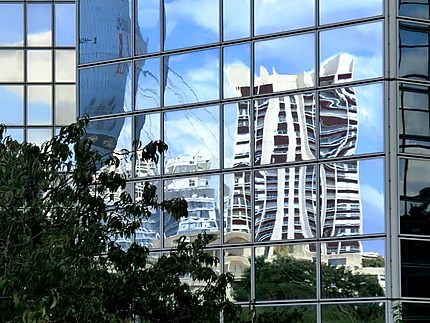 Immeubles modernes et reflets