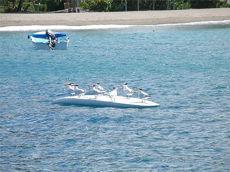 Pose détente ... Pose détente ...