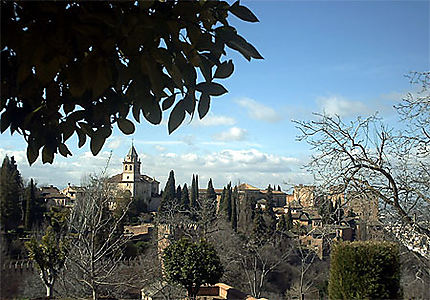 Vue des jardins de l'Alhambra