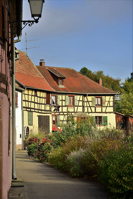 Maisons de Bergheim