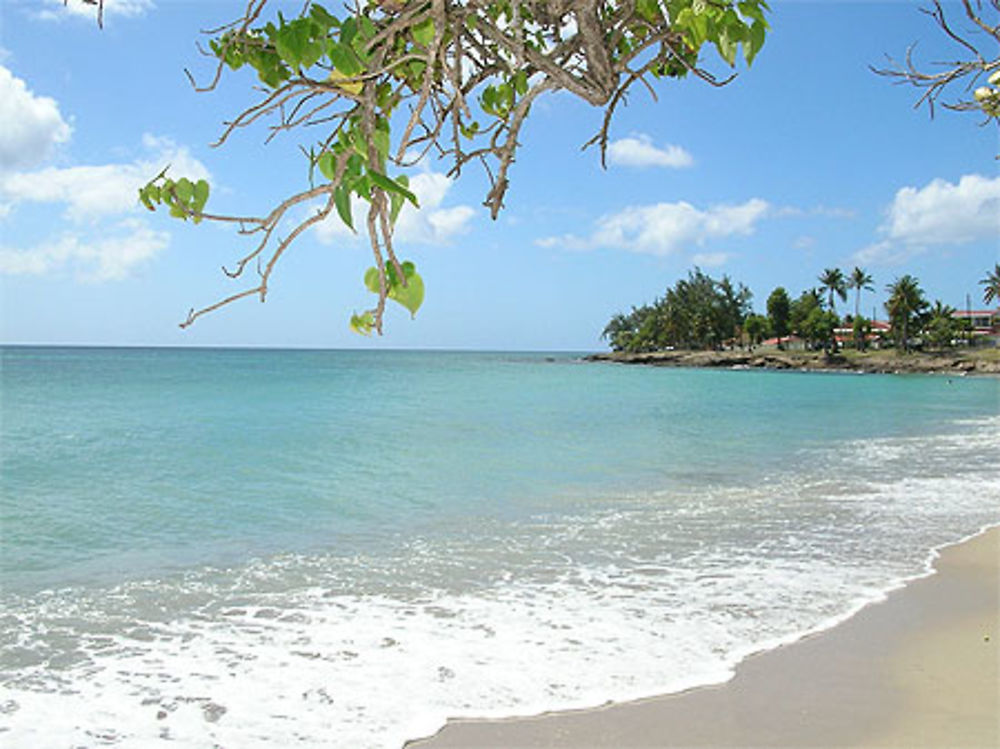 Plage à Sainte Luce