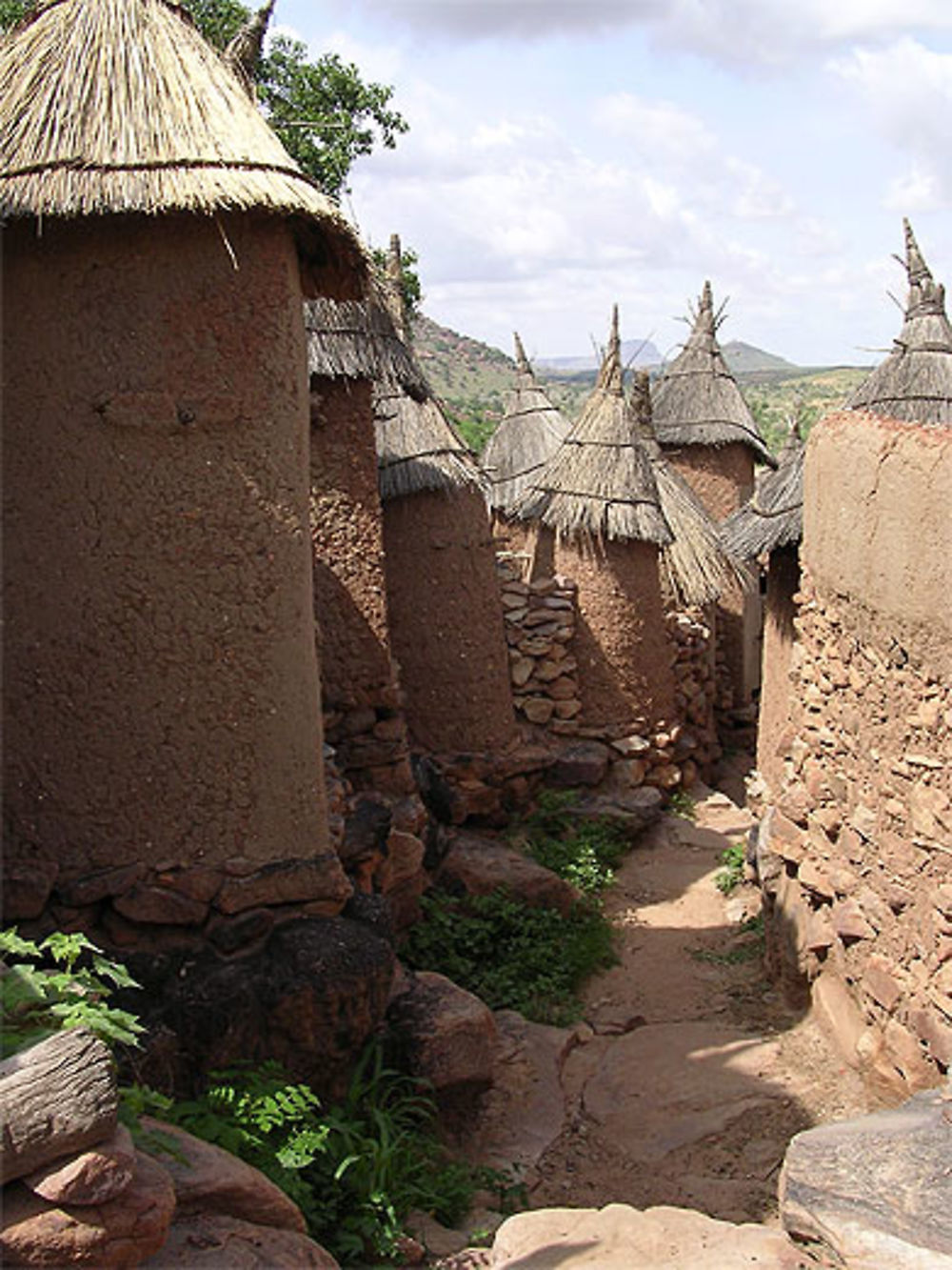 Le village de Tiogou