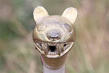 Puma décoratif