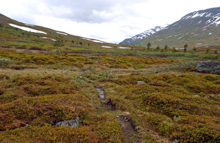 chemin chemin