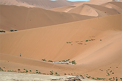 Les dunes du désert du Namib