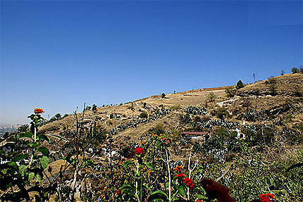 Le Sacromonte et les murailles