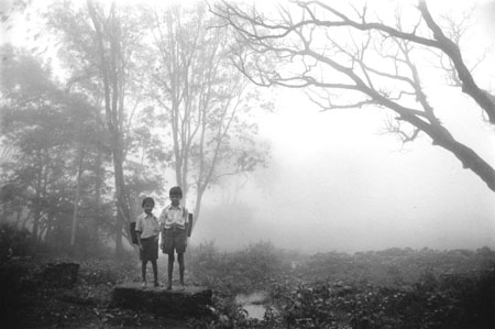 Sur le chemin de l'école Sur le chemin de l'école