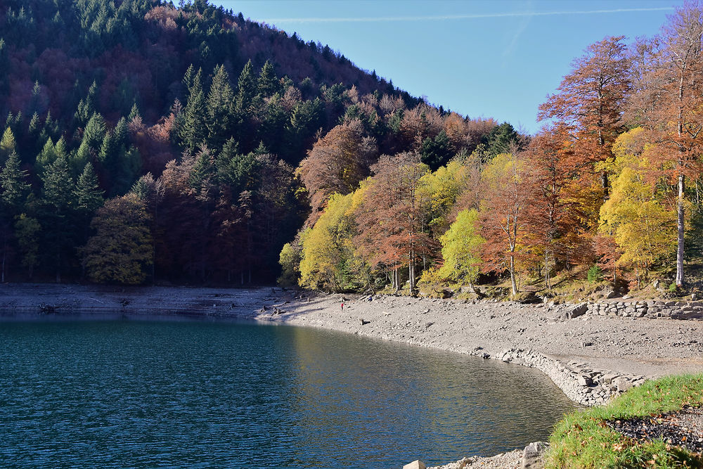 Le lac du Grand Ballon