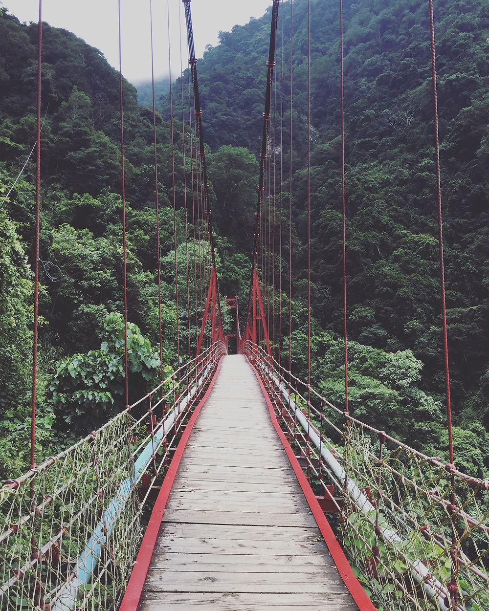 Pont suspendu Taïwan Dongpu