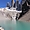 30 degrés à Torres del Paine