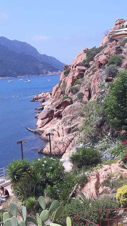 Bella Corsica