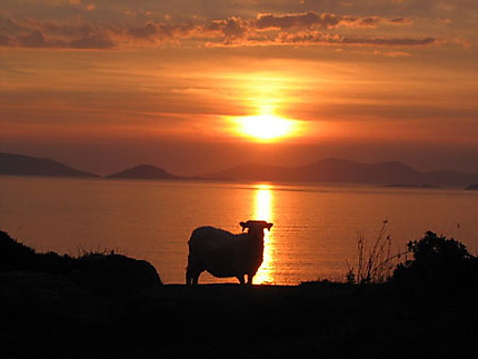 Coucher de soleil sur Coulagh Bay