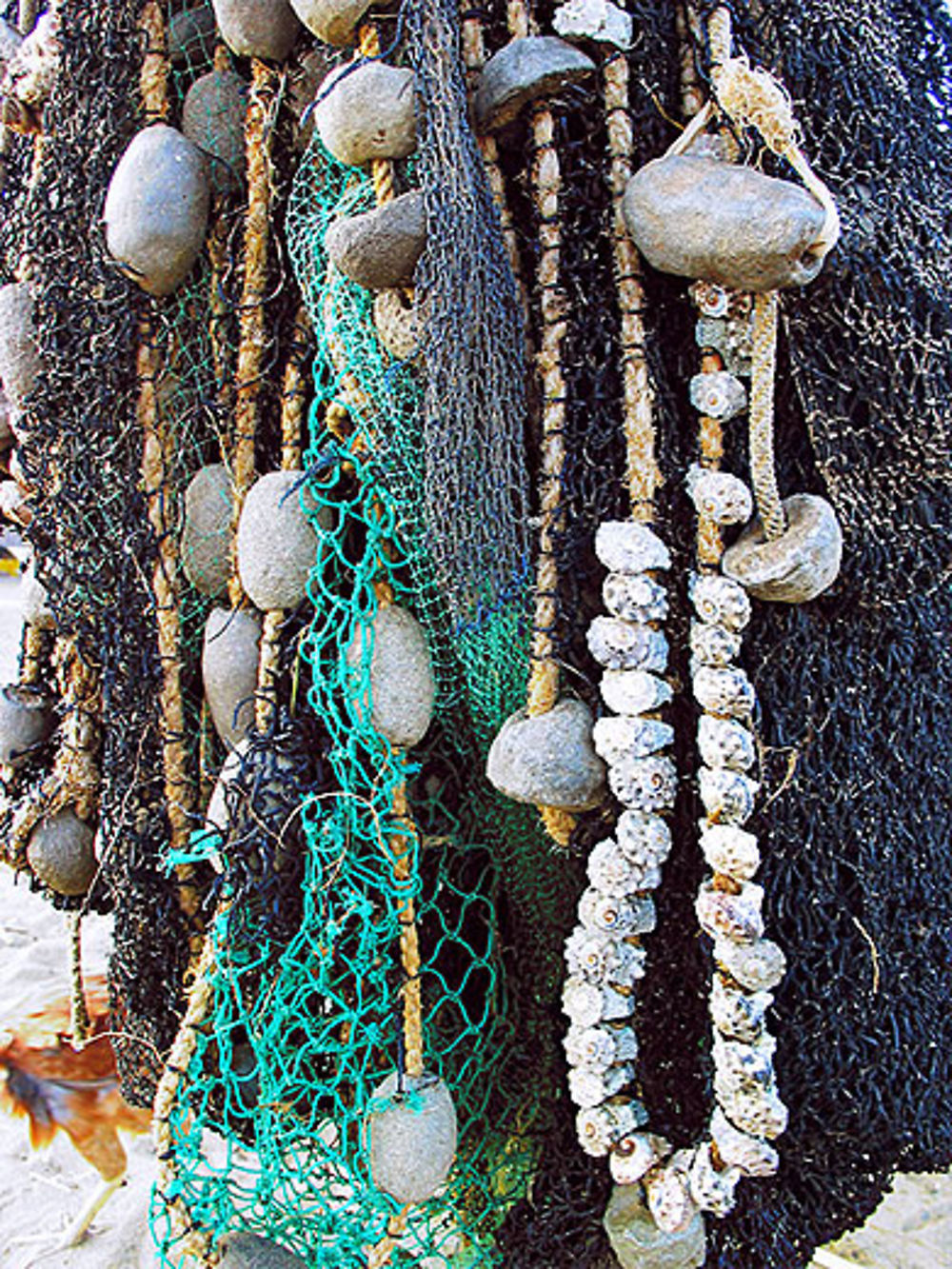 Coquillages et filets, sur la plage abandonnés...