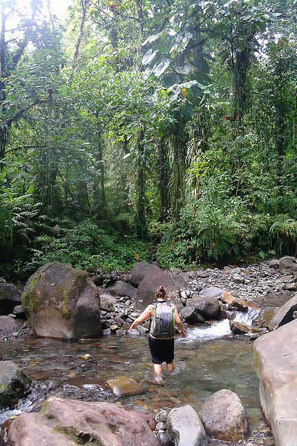 Rando de la trace des chutes moreau, Guadeloupe