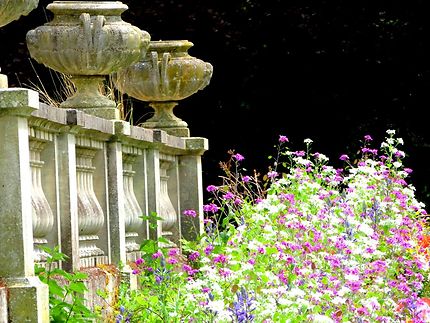 Murs fleuris Parc Dupeyroux