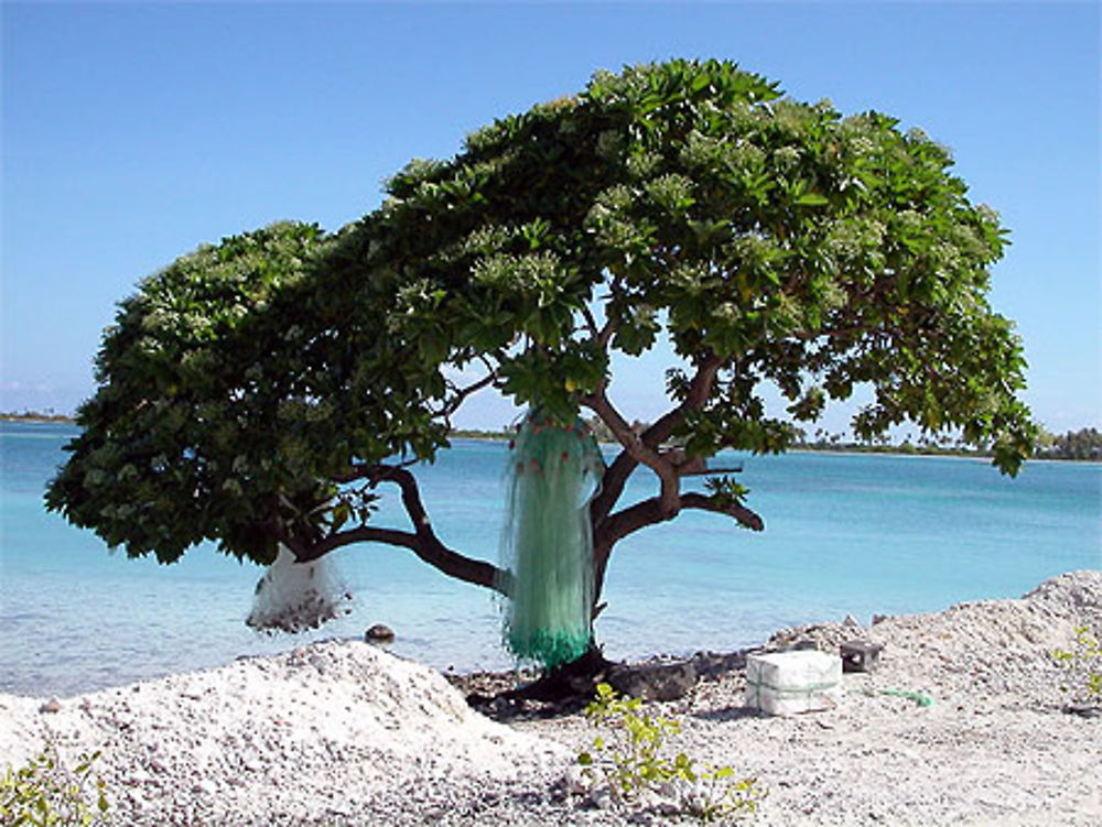 Bord de mer