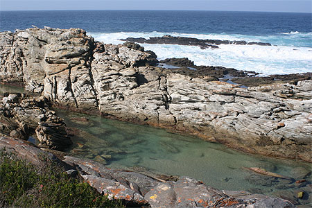 Piscine naturelle Piscine naturelle