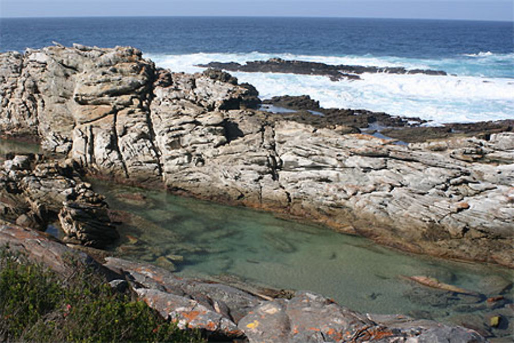 Piscine naturelle