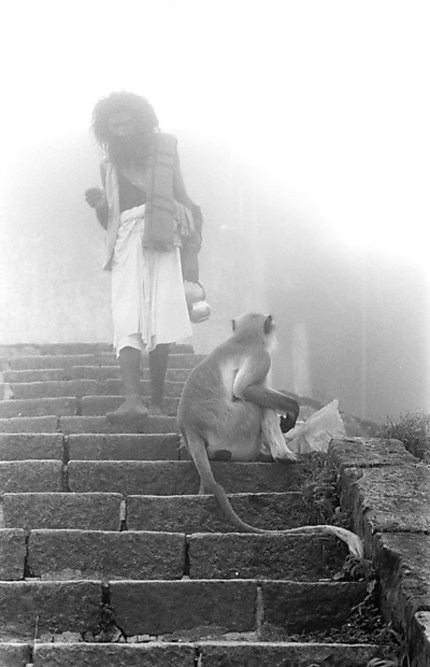Le sadhu et le singe