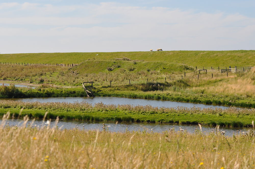 Paysage du nord de la Frise