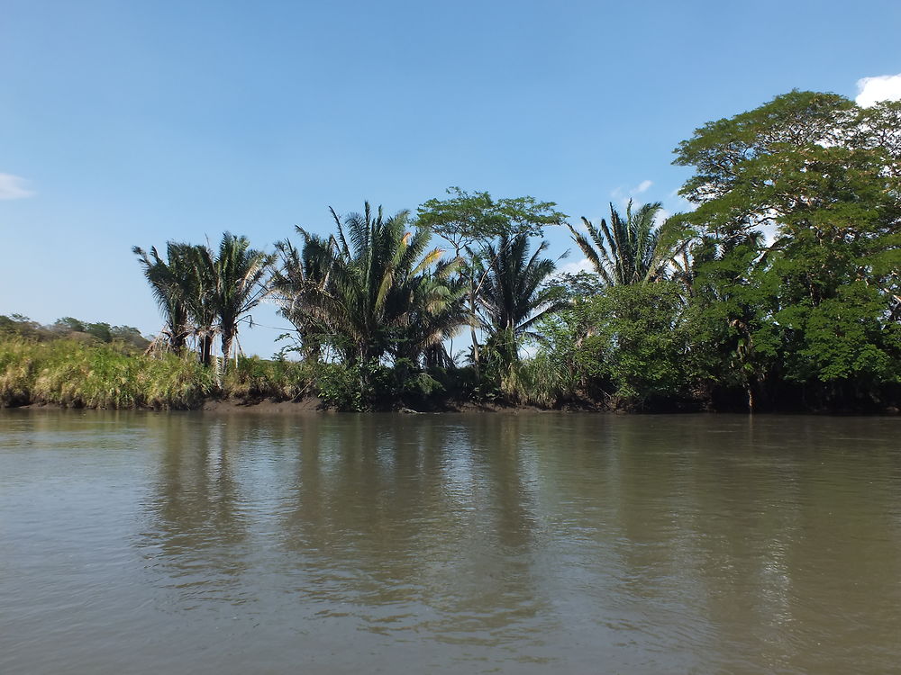 Bords de la rivière