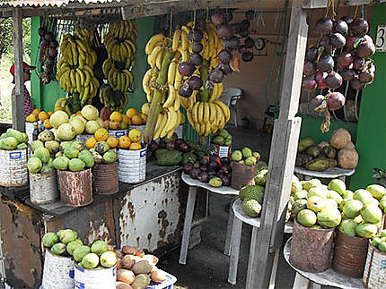 Vente de fruits au bord de la route