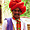 Homme du Rajasthan