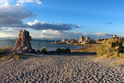 "Tufas" in Mono Basin