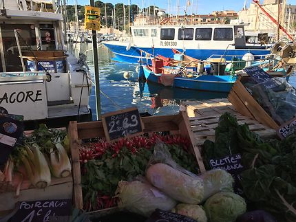 Légumes sur mer à Sanary