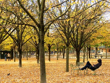 Paris couleurs d'automne