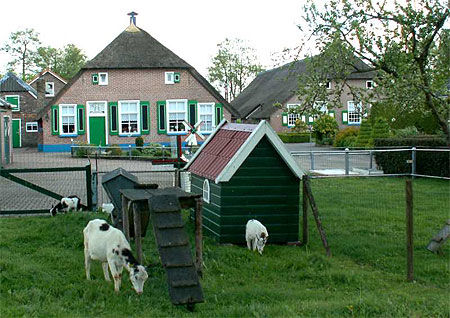 Dans le village de Staphorst même les animaux ont leur petite maison ! 