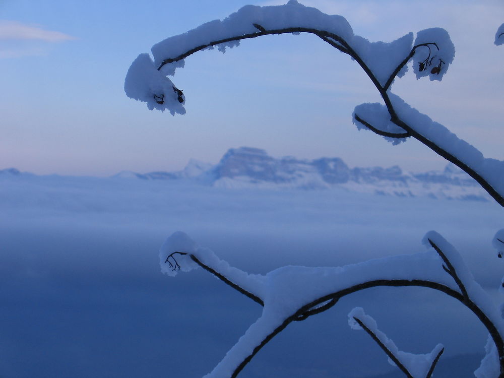 Mer de nuages sur Grenoble