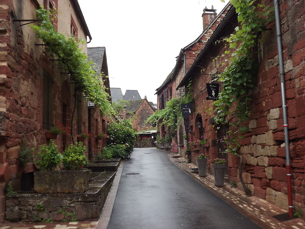 COLLONGES-LA-ROUGE