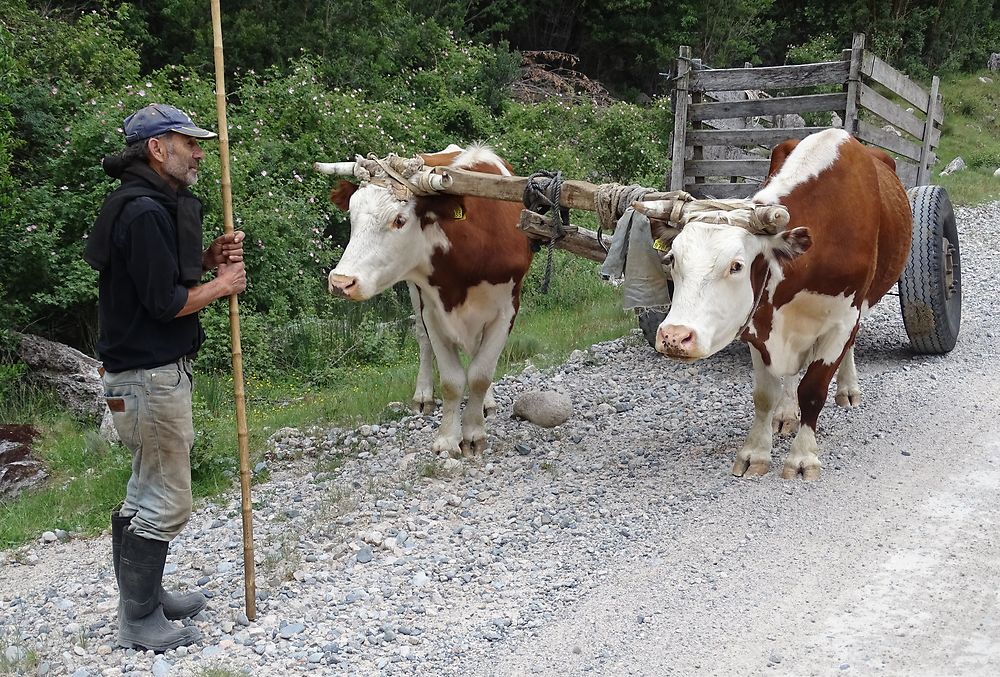 Carretera Austral