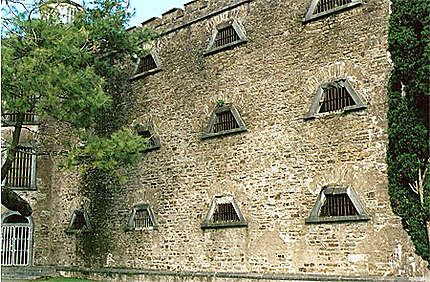 Cork jail