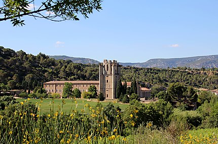 L'abbaye de Lagrasse 
