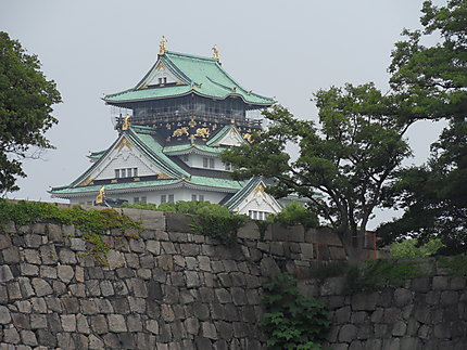 Château d'Osaka et arbres