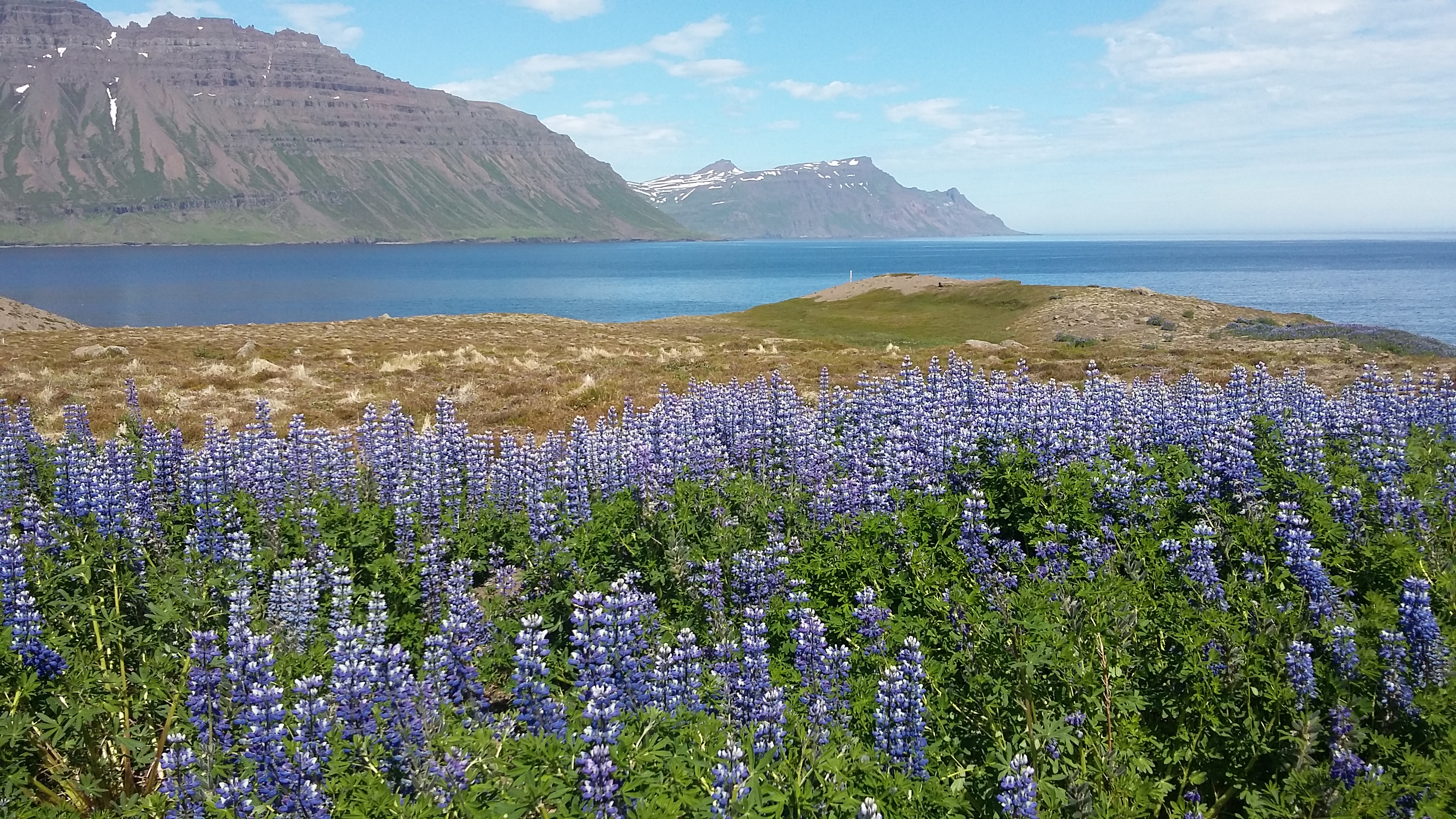 Fjord de Skalanes