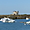 Port de Quiberon