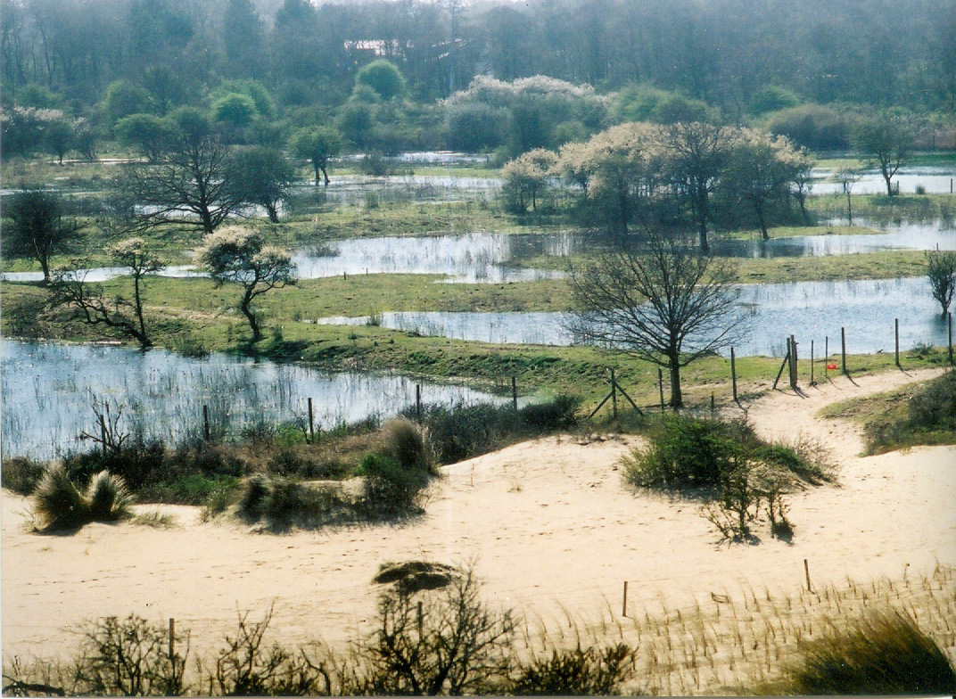 Westhoek Westhoek