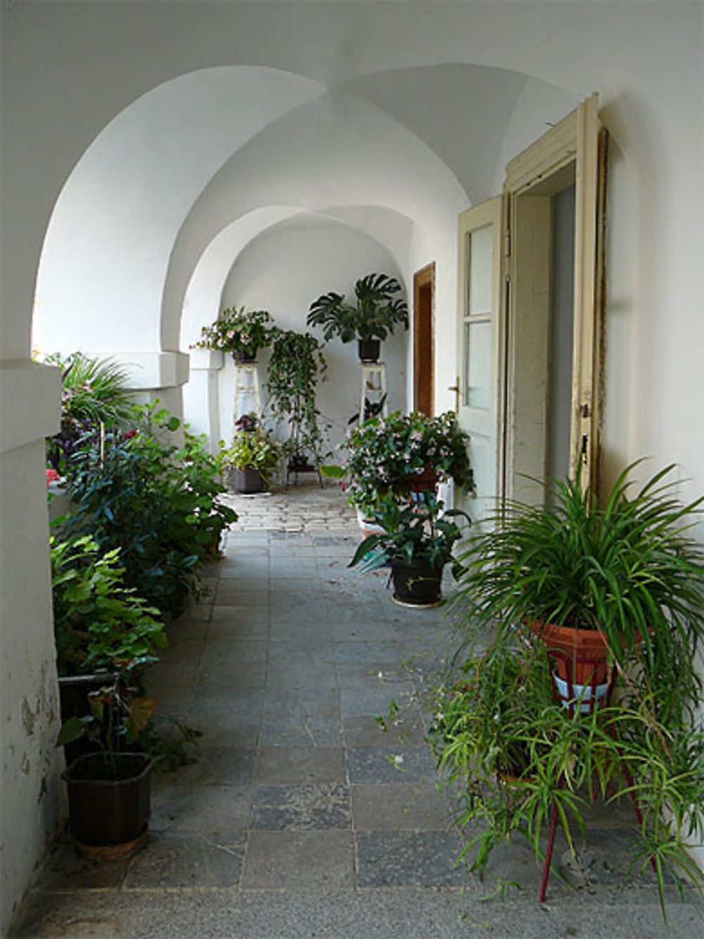 Plantes en pots, monastère de Krušedol, Fruška Gora, Serbie