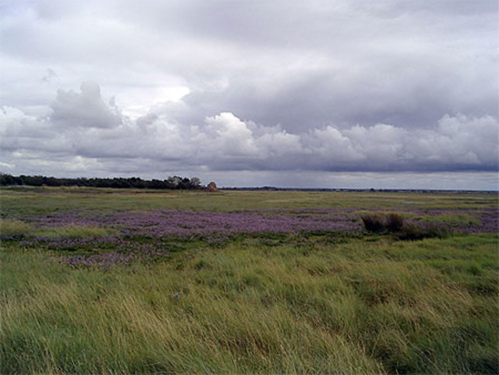 Corps de garde du Havre de Saint-Germain au loin