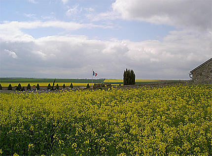 Cimetière et champs de colza